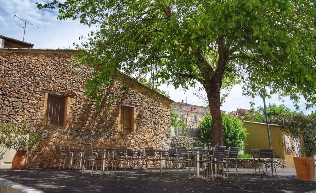 La terrasse sous un grand arbre, devant la maison de pierre